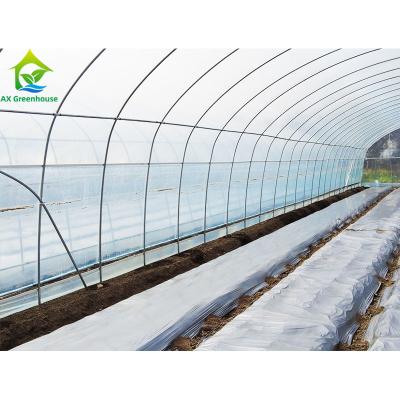 China Invernadero polivinílico comercial modificado para requisitos particulares de los metros cuadrados del túnel 10*30 para el pepino en venta