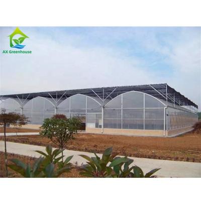 中国 High Efficiency Agricultural Multi Span Greenhouse 200micro PE Film Covered 販売のため