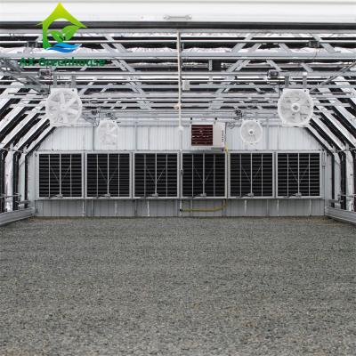 China OEM Dark Out Blackout Greenhouse Light Deprivation Greenhouse With PC Board for sale