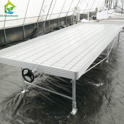 China ODM Indoor Outdoor Hydroponic Garden Greenhouse Rolling Benches Vertical Grow Rack System for sale