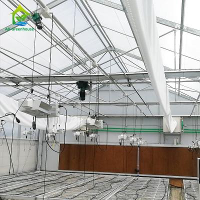 China PE Film 220V Auto Light Deprivation Greenhouse 100% Blackout High Tunnel Greenhouse for planting Mariguana for sale