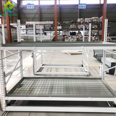China Hydroponic Growing System Abb Flow Greenhouse Rolling Benches Multi Layer for sale