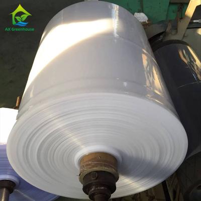 China 70%-75% Refractive Polythene Greenhouse Cover Thermal Insulation Film for sale