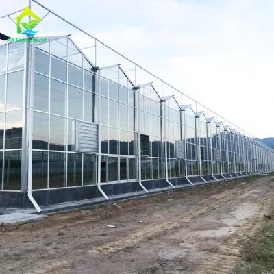 China OEM ODM Safety 5mm Tempered Glass For Greenhouse Wall Covering for sale