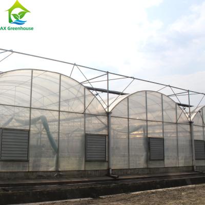 China Large Clear Plastic Sheeting Greenhouse 4m-7.5m Height Galvanized Steel Greenhouse for sale