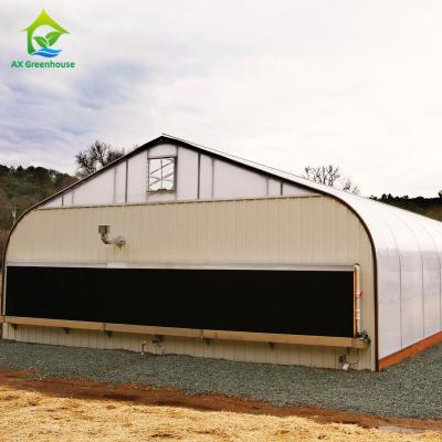 China Eco Friendly Automatic Light Dep Greenhouse 8m To 11m Width Plants Grow Greenhouse for sale