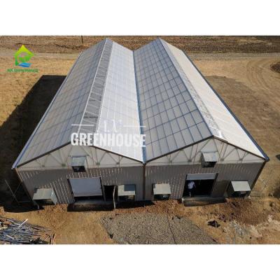China 4m-7m High Tunnel Automated Blackout Greenhouse For Agriculture for sale