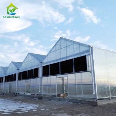 China Medical Herb CBD Gable Light Deprivation Greenhouse Multispan Gutter Connect Greenhouse for sale