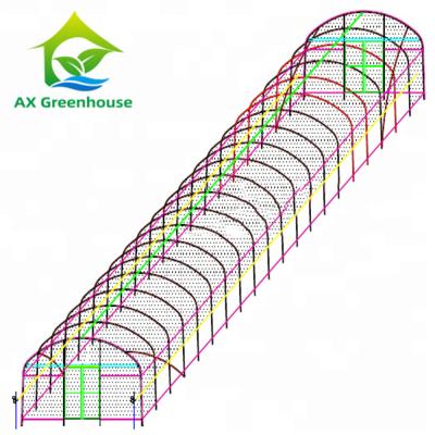 China 0.06mm 0.20mm Thick Flm Poly Tunnel Greenhouse Hot Galvanised Steel Greenhouse for sale