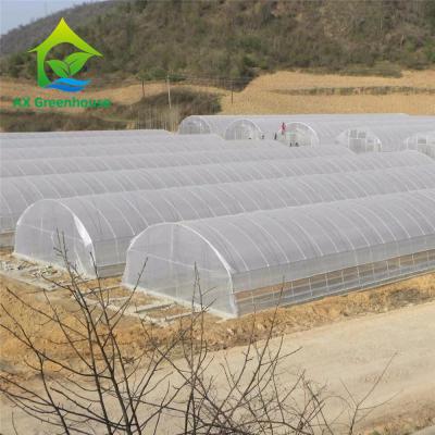 China Hydroponic Tropical Area Polytunnel Greenhouse With Climate Control for sale
