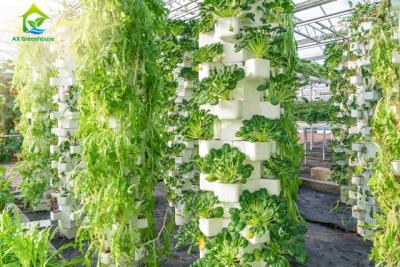 China Environment Friendly Soilless Hydroponic System 75*50mm NFT Lettuce System for sale