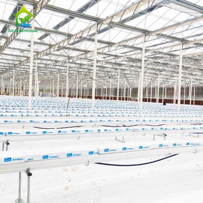 China 5.8m Length Commercial Aquaponics System Soilless Culture Fish And Plant System for sale