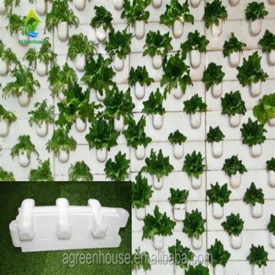 China 90 Sites 10 Pipe Soilless Hydroponic System for sale