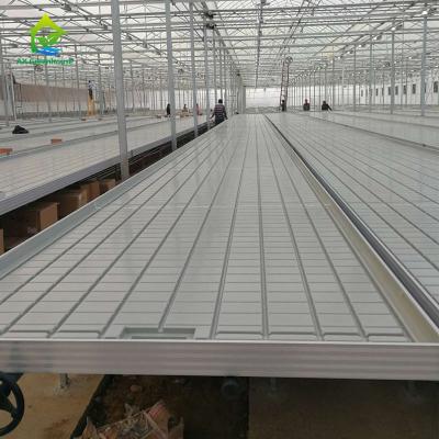 China 50KG/M2 Ebb And Flow Rolling Benches Nursery Seedbed Hydroponics Flood Tray for sale