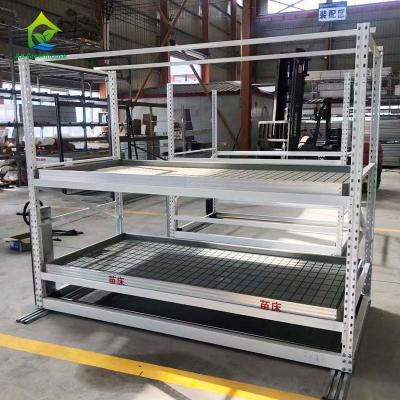 China Multi Layer Powder Coating Greenhouse Racks Hydroponic Ebb And Flow Tables for sale