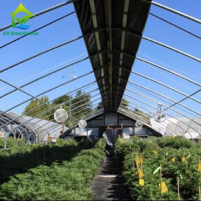 China Medical Growing Blackout Light Dep Green House 9X32M Tunnel Greenhouse for sale