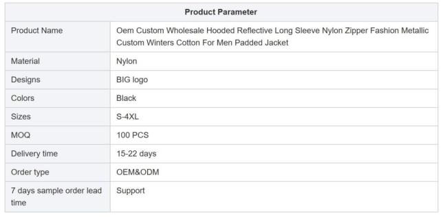 OEM Custom Wholesale Reflective Nylon Men′s Metallic Custom Winters Bubble Coat Logo for Shiny Men Padded Down Puffer Jacket