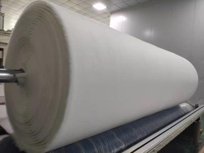 Chine L'aiguille blanche poinçonnant l'OIN non-tissée de fabricant de tissus a délivré un certificat à vendre