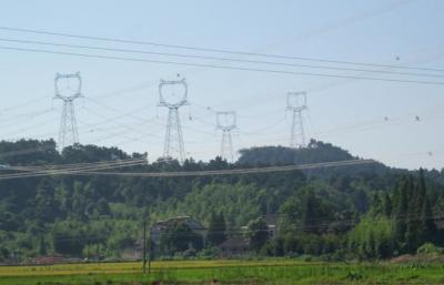 China Cat Head Transmission Line Lattice Steel Tower For Site for sale