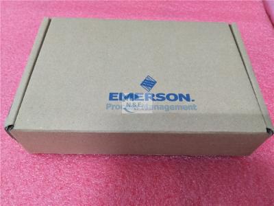 China PLC Emerson Delta V DCS VE4005S2B1 KJ3221X1-BA1 Standard I O Termination Block for sale