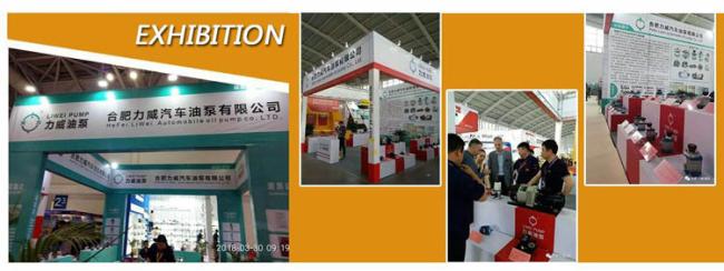 Since 1956 Hefei Liwei Forklift Parts 915729 Water Pump for Clark 4G54 909301