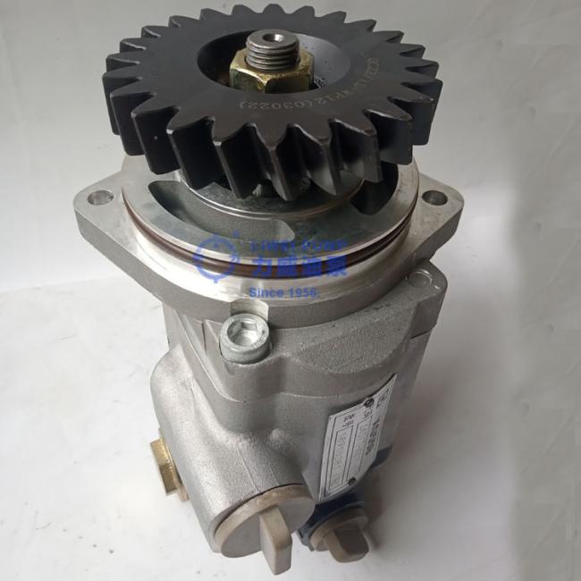 Dz95259130001