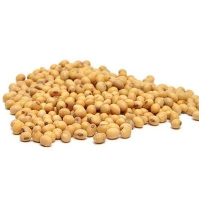 Multi layer Continuous animal feed pellets Drying machine