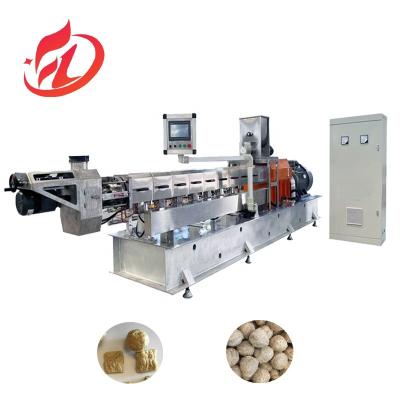 China 1 Soya Extruder Machine for Soya Protein Production Touch Food Parts Stainless Steel for sale