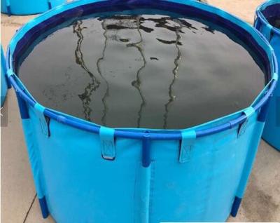 中国 栽培漁業のアクアリウム水貯蔵タンク、地上の魚のいる池の折りたたみ魚飼育用の水槽の上の青いシリンダー 販売のため