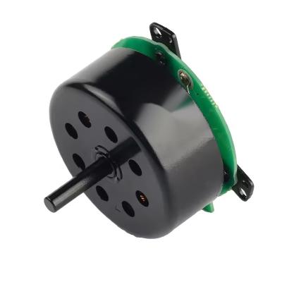 China Hair Dryer Motor 230V 0.9A 18500RPM 106W 350G.CM High Speed BLDC Motor for sale