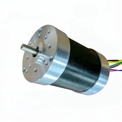 China Electric Tools Motor 37W IE 1 Brushless DC Gear Motor For Grass Cutter And Garden Machinery for sale