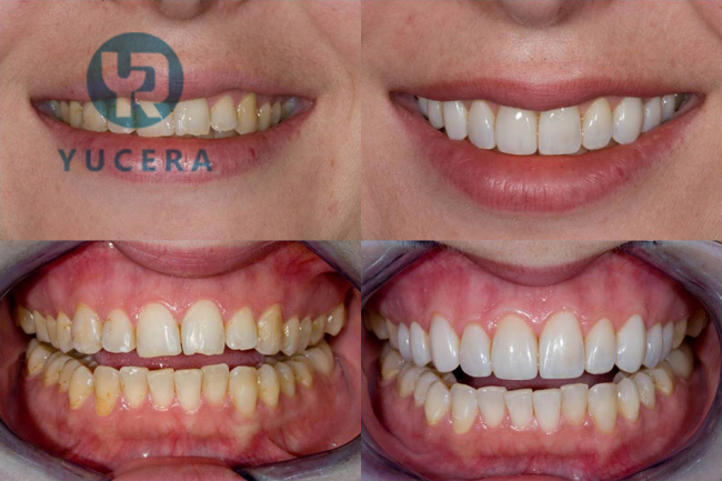 Professional dentist reviews