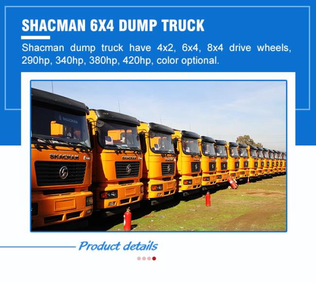 Sinotruk HOWO Shacman Rear Dumping Tipping Lorry Dump Truck for Mine