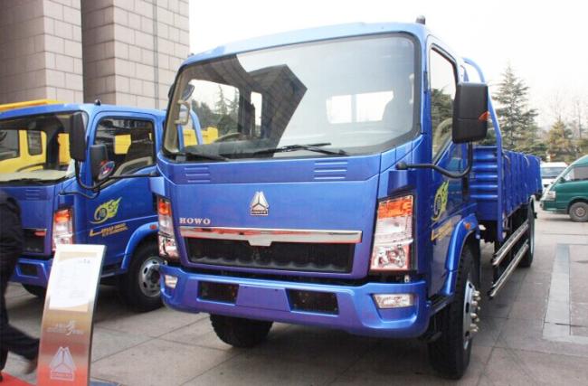HOWO 4X2 3-5t Light Duty Cargo/Dump Mini Truck
