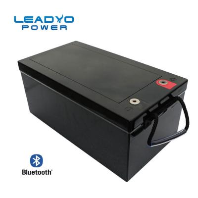 China High Capacity Leadyo Battery Bluetooth LiFePO4 12V 300Ah Lithium Ion Battery for sale