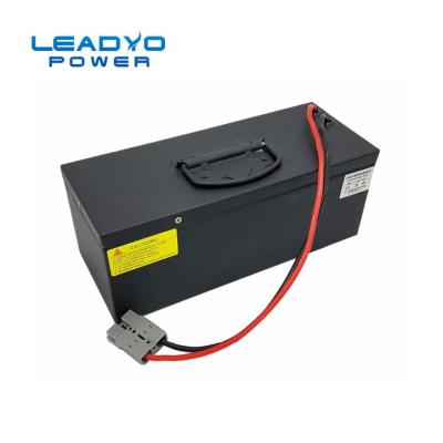 China Batería eléctrica de la batería de litio del carro de golf del terminal M8 48V 30ah Lifepo4 en venta