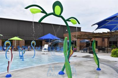 Chine Jet en acier de tortue de mer d'arroseuse de l'eau d'Aqua Playground Splash Structure Stainless à vendre