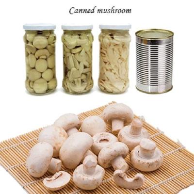 China Champignon Mushroom Canned Fruits Vegetables Champing Mushroom Slices for sale