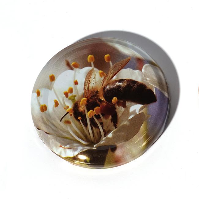 Metal Lug Screw Neck Rose Gold Screw Cap Cover