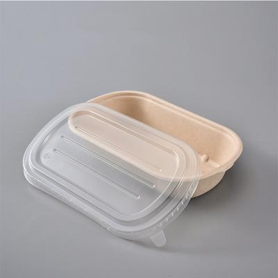China 850ml 1000ml Biodegradable Bagasse Tableware Greaseproof Microwave Container With Lid for sale