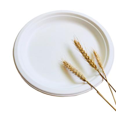 China Renewable 8in 10in Biodegradable Bagasse Tableware Plate Pfas Free Take Out Containers for sale