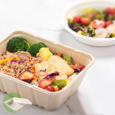China 450ml 550ml Natural Eco Biodegradable Bagasse Tableware Salad Fast Food To Go Containers for sale