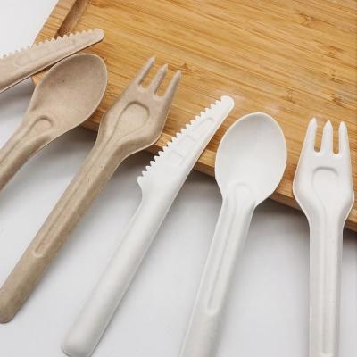 China Biodegradable Bagasse Eco Friendly Disposable Cutlery 141.7mm Compostable Forks And Spoons for sale