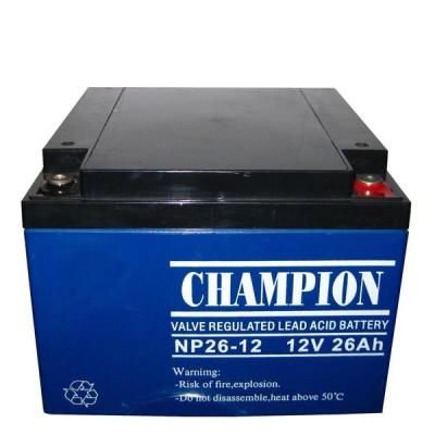 China Champion AGM battery 12V24AH/12V28AH Sealed Lead Acid battery storage battery for toy for sale