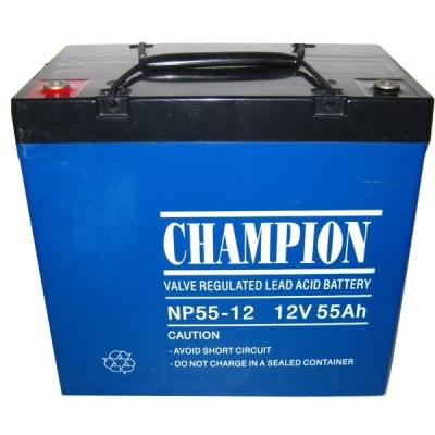 China Champion AGM battery 12V55AH Sealed Lead Acid battery rechargeable lighting battery for sale