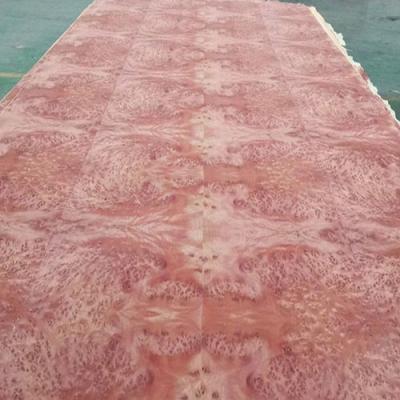 China High Grade 0.30MM African Red Wood Veneer Burl Sheet for Luxury Decoration for sale