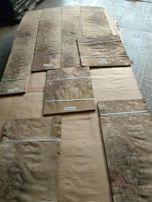 China Slice / Rotary Cut Walnut Burl Veneer With Sap 0.50MM Thickness for sale