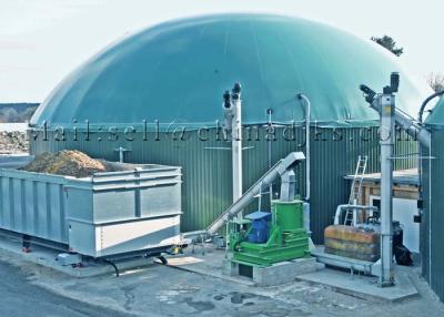 China O animal 18TPH orgânico desperdiça o central elétrica da gasificação da biomassa à venda