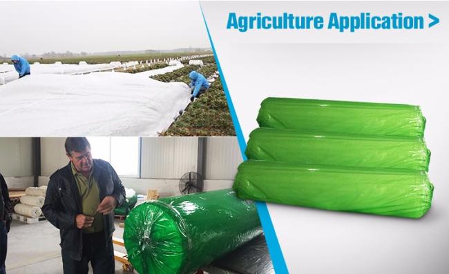 Excellent Quality Multifunctional Pp Spunbond Nonwoven