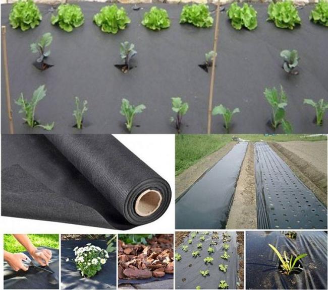 Rayson Brand Good Quality Agriculture Nonwoven